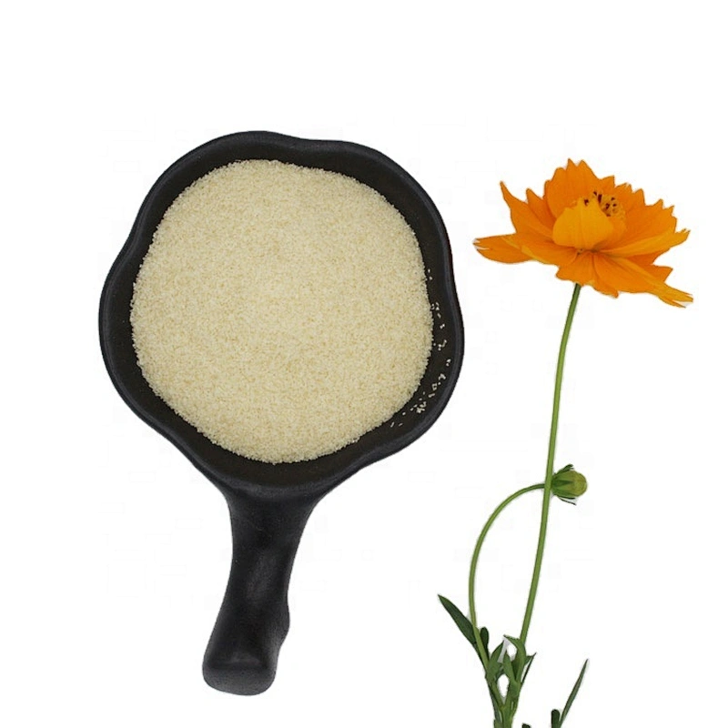 Good price wholesale food grade gelatin powder 8-120 Mesh